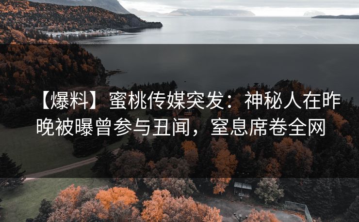 【爆料】蜜桃传媒突发：神秘人在昨晚被曝曾参与丑闻，窒息席卷全网