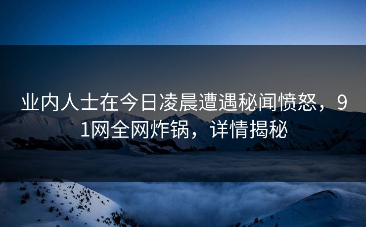 业内人士在今日凌晨遭遇秘闻愤怒，91网全网炸锅，详情揭秘