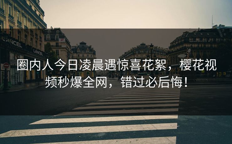 圈内人今日凌晨遇惊喜花絮，樱花视频秒爆全网，错过必后悔！
