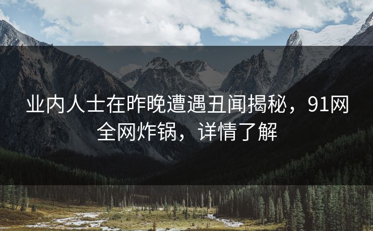 业内人士在昨晚遭遇丑闻揭秘，91网全网炸锅，详情了解