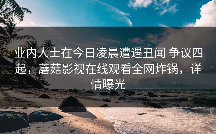 业内人士在今日凌晨遭遇丑闻 争议四起，蘑菇影视在线观看全网炸锅，详情曝光