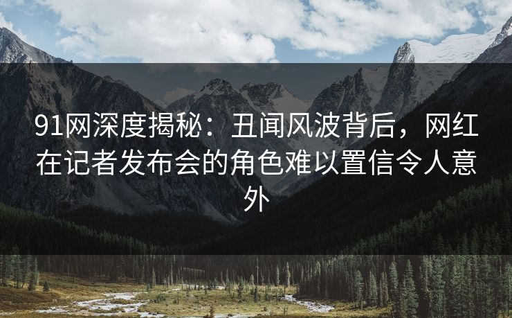 91网深度揭秘：丑闻风波背后，网红在记者发布会的角色难以置信令人意外