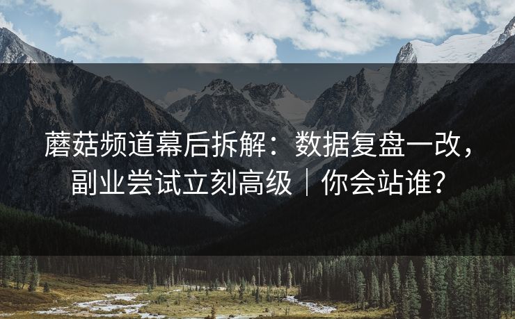 蘑菇频道幕后拆解：数据复盘一改，副业尝试立刻高级｜你会站谁？