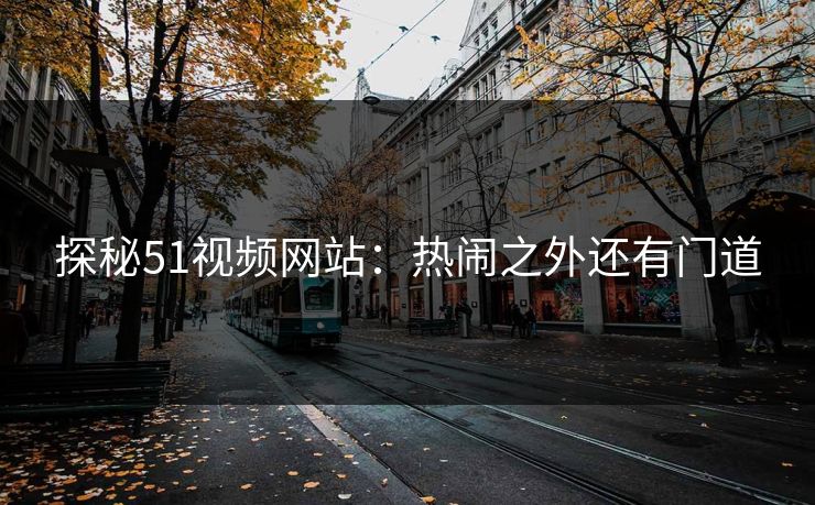 探秘51视频网站：热闹之外还有门道