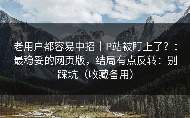 老用户都容易中招｜P站被盯上了？：最稳妥的网页版，结局有点反转：别踩坑（收藏备用）